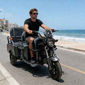 Triciclo Eléctrico de Pasajeros Abierto de 48V y 60KM con Marco de Acero para Viajes Cortos, Triciclo Eléctrico Pequeño de 3 Ruedas para Adultos, 2 Personas y Carga - Product Image 4