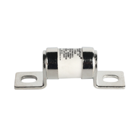 Composant de fusible automatique rapide de fusible de voiture d'AC/DC 750V 20-1200A pour des véhicules électriques fusible d'Ev pour l'usage de véhicule