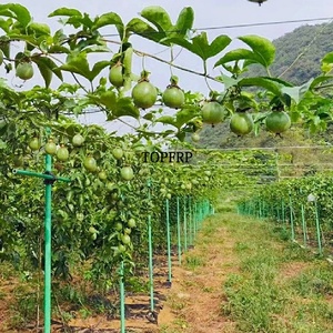 High Strength FRP Fiber Round Tube Glass Fiber Tube - Product Image 3