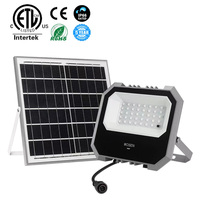 Reflector LED Solar Integrado IP65, Reflector de Jardín para Exteriores Resistente al Agua, Luz Blanca Cálida de 10 W, Aluminio, Portátil, Solar, CE, CRI70