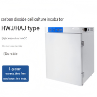 Incubateur à cellule de dioxyde de carbone de type XINYUE HWJ/HAJ : Durable, affichage numérique avec capteur de CO2, revêtement intérieur en acier inoxydable 304.