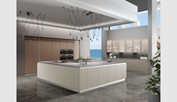 Panneau de porte de meuble de cuisine modulaire moderne en acier inoxydable ignifuge et écologique avec évier et étagère de rangement à charnières