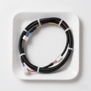 สายรัด IOT <span class=keywords><strong>ทะเลทราย</strong></span>สำหรับเก็บเกี่ยวน้ำจากกระบองเพชรสำหรับโครงการโอเอซิสอัจฉริยะ - Product Image 4