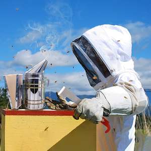 <span class=keywords><strong>Kit</strong></span> d'apiculture de 31 pièces, état neuf, combinaison d'apiculteur, stylo de marquage des abeilles, fumoir à abeilles, cadre de ruche - Product Image 6