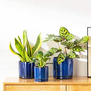 Pots de plantes en céramique durables et écologiques Vancasso, 3 pièces, avec trous de drainage pour une utilisation en intérieur - Plantes succulentes, Pothos, plantes serpent et plus encore - Product Image 4