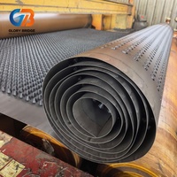 Planche de drainage de toiture HDPE à fossettes de 10 mm, très vendue, tapis de drainage pour toiture verte, drainage de fondation pour jardin sur toiture