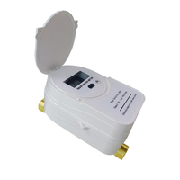 Lorawan/NB IoT Brass Ultrasonic Water Meter