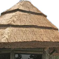 Nhà Cung Cấp Mái Vòm Lều Bạt Bali Nhiệt Đới
