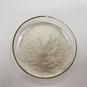 ราคาคุ้มค่า คุณภาพสูง ผงเอนไซม์เซราเพปเทส เซราทิโอเพปไทด์เอส - Product Image 4