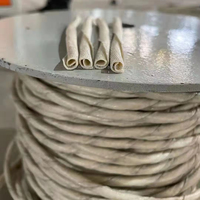 Machine d'extrusion de rotin synthétique en plastique pour la fabrication de rotin artificiel, vente chaude 2025