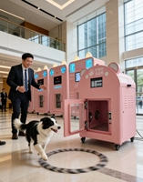 Máquina de Lavado de Mascotas con Burbujas de Hidrógeno, Secado Rápido, Estación de Spa para Perros y Gatos, Uso Profesional en Hospitales de Mascotas
