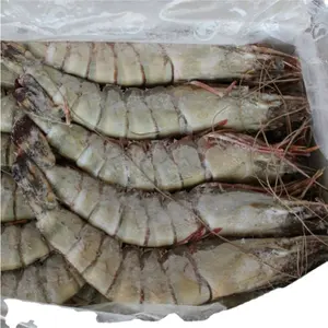 Giant Tiger Prawn No Additives Fresh Natural Whole Shape Raw Frozen Bulk Seafood Shrimp