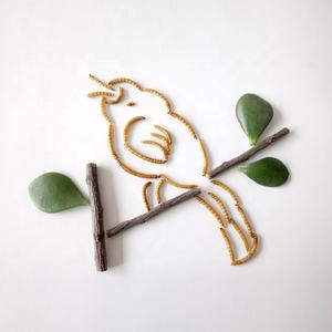 Alimentos para aves, alimentos de alta qualidade e eco amigáveis, pássaros, alimentos, aves, 100% naturais, secos, vivos - Product Image 1