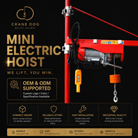 Palans électriques à câble métallique de 1 tonne, de qualité supérieure, robustes et durables, pour la vente en gros