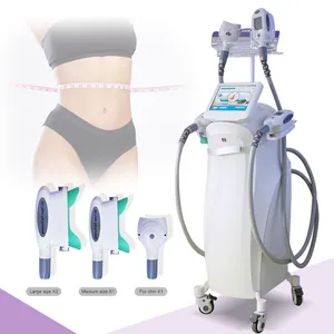 Mesin pelangsing cryolipolysis profesional, 4 pegangan penurun berat badan 2024 vertikal