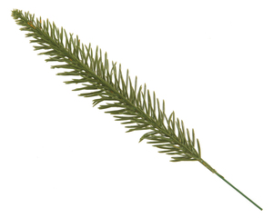 Anti-UV Plastic Artificial Boxwood wall grass panel plant green wall for indoor outdoor decoration