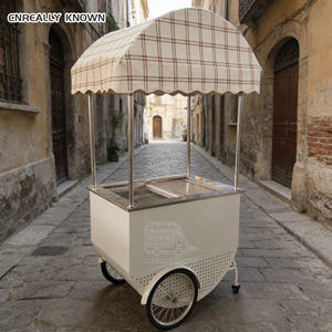 Chariot mobile en acier inoxydable pour glaces, idéal pour parcs, plages, mariages en plein air et services de traiteur - Product Image 5