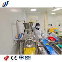 Complete installaties voor de verwerking van ananassap, inclusief sapverwerkingslijn en drankenproductie met fruit-sap pasteurisator.