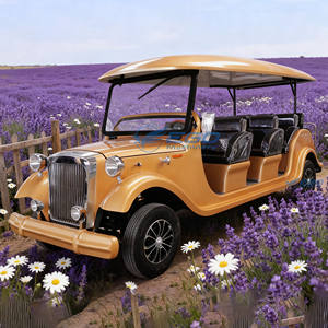 Bus touristique électrique classique vintage 6/8/11 places, voiture de tourisme électrique classique - Product Image 4