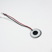 Disque atomiseur piézoélectrique SWT 16 mm avec fils rouge-noir pré-soudés, plaque de brumisation ultrasonique pour appareil de nébulisation médical et esthétique