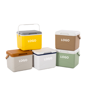 Nieuwe Aankomst Moderne 5l Draagbare Mini Geïsoleerde Pp Ijs Kist Koeler Voor Master 5l Voor Voedsel Gebruik - Product Image 4