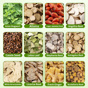 Patch pelangsing pembakar lemak perut Herbal, dengan manajemen berat badan pelet nyaman 5 buah/kotak - Product Image 4