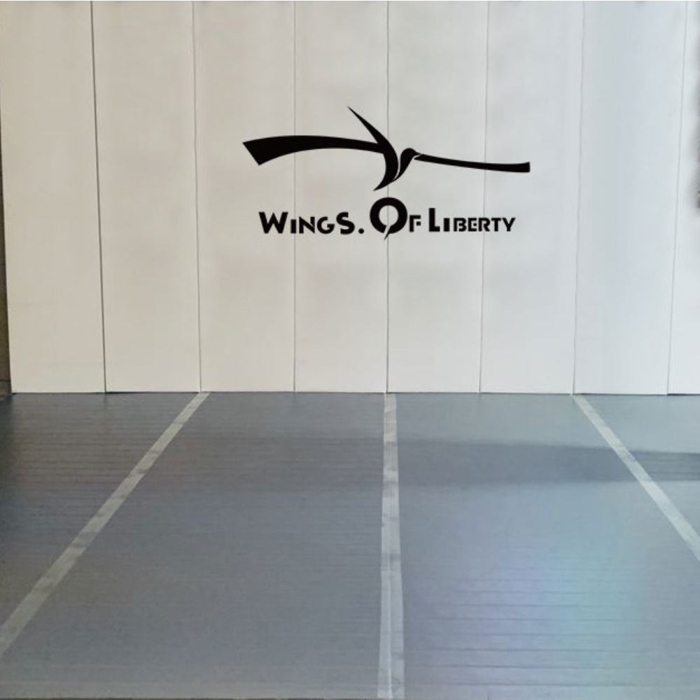 Used Gym Wall Pads for Sale Durable Customizable