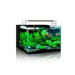 Customized Multi Size Turtle Mini Grass Coral Reef Tank Ultra-white Glass Back Filter System Aquarium Fish Tank For Marine