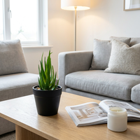 Ensemble de mini-plantes artificielles vertes en pot en plastique, succulentes écologiques, décorations intérieures pour la maison, pour Pâques et les mariages