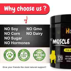 OEM/ODM guadagno muscolare Private Label mastica morbida per <span class=keywords><strong>i</strong></span> cani rafforza <span class=keywords><strong>i</strong></span> muscoli e aumenta l'energia integratori di vitamine per animali domestici - Product Image 4