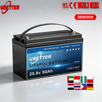 Batteries LiFePO4 12V 25.6V 50AH 100Ah 200Ah avec chauffage et BMS pour camping extérieur et voiturette de golf - Stock PL Dubaï