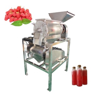 Máquina Exprimidora de Doble Canal Hongya HY-<span class=keywords><strong>DDJ</strong></span> de Alta Productividad 380V <span class=keywords><strong>2</strong></span>+4KW para Mango, Ciruela y Frambuesa - Product Image 1