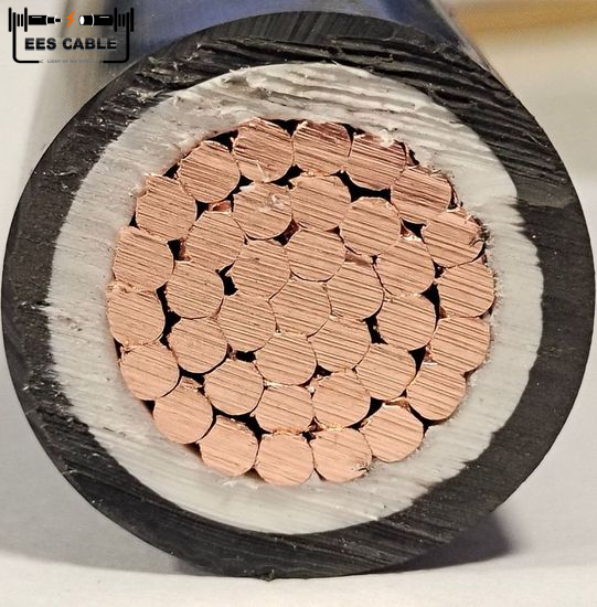 4, 10, 16, 25, 50 Mm2  Electrical Power Cable Wire XLPE Copper or Aluminum Conductor IEC 60502 NYY / YJV Equivalent Netherlands
