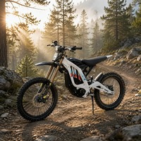 Moto tout-terrain électrique Surron Light Bee X 10kW 72V 35Ah 295N.m de couple, pour les journées sur piste et hors route, nouveau modèle 2026