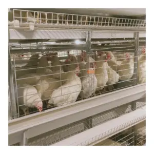 Factory Direct Egg Laying Hens Farming Chicken Layer Battery Cage Automatic Poultry Farming Chicken Cages For Sale