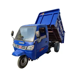 Tricycles Tiga Pintu Cargo Cabin Motor Tricycle 3 Roda Diesel Dump Truck