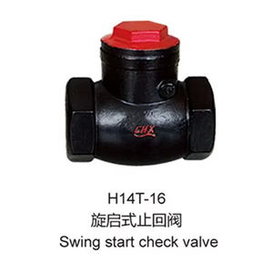 Válvula de Retención de Columpio Tipo Swing Start PN10 PN16 de Hierro Fundido Gris HT200 con Brida y Sello Metálico - Precio de Fábrica, ¡Venta Caliente! - Product Image 6