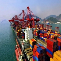Carga Aérea Internacional de Shanghái y Shenzhen a Guatemala y Sint Maarten con Servicio de Alta Calidad y Tarifas Económicas