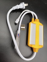 एसी 110V/ 220V IP65 12mm 1500w 16 रंग की तरह रंगीन नीयन पट्टी रोशनी का नेतृत्व किया रिमोट आरजीबी नियंत्रक