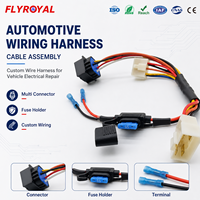 Arnés de cableado automotriz, conjunto de cables personalizado con portafusibles, conector, terminal, reparación eléctrica de vehículos
