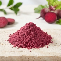 Poudre de racine de betterave végétale certifiée HPLC, soluble dans l'eau, qualité alimentaire, en vrac (sac/fût) pour compléments alimentaires