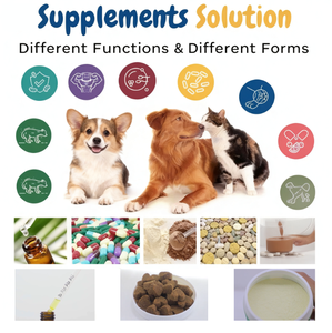 Probiotiques à mâcher pour chiens : Santé digestive, suppléments et traitement par la mastication, vitamines pour animaux <span class=keywords><strong>de</strong></span> compagnie - Product Image 3