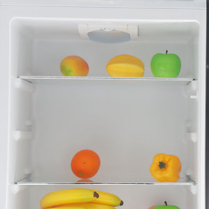 BCD258 Refrigerador Doméstico de Alta Calidad Fabricado en China por los Mejores Fabricantes de Refrigeradores - Product Image 6