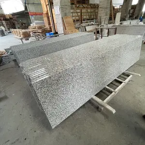 Bàn Nhà Bếp Coungranite 40 Feet Chất Lượng Hàng Đầu Cắt Giảm Theo Kích Thước Mặt Bàn Đá Hoa Cương Nhiều Loại Đá Granite Trắng