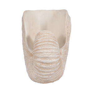 Scultura in resina a forma di conchiglia, ornamento decorativo per la casa, il bagno, l'ufficio, il soggiorno - Product Image 4