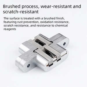 <span class=keywords><strong>Bisagra</strong></span> <span class=keywords><strong>Oculta</strong></span> Invisible de Acero Inoxidable, Muebles de Puerta <span class=keywords><strong>Oculta</strong></span> para Dormitorio, Sala de Estar, Hogar, Aleación de Zinc, Moderna - Product Image 5