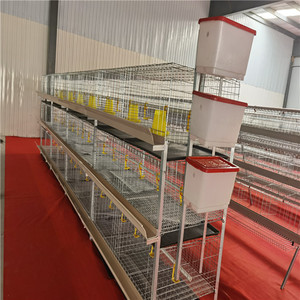 Nouveau design plateau cage à <span class=keywords><strong>poulet</strong></span> 3 niveaux races de cage à poulets de <span class=keywords><strong>chair</strong></span> - Product Image 2
