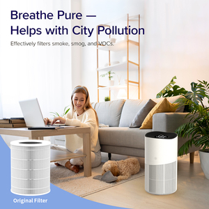 <span class=keywords><strong>Purificateur</strong></span> <span class=keywords><strong>d</strong></span>'<span class=keywords><strong>air</strong></span> pour animaux de compagnie <span class=keywords><strong>purificateur</strong></span> <span class=keywords><strong>d</strong></span>'<span class=keywords><strong>air</strong></span> domestique intelligent meilleure <span class=keywords><strong>chambre</strong></span> maison animal de compagnie intelligent portable hepa <span class=keywords><strong>purificateur</strong></span> <span class=keywords><strong>d</strong></span>'<span class=keywords><strong>air</strong></span> filtre hepa filtres pour la maison - Product Image 5