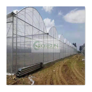 <span class=keywords><strong>Precio</strong></span> bajo y vendedor Superior Popular Invernadero de túnel polivinílico agrícola Multi Span Film Green House para cultivar vegetales - Product Image 2