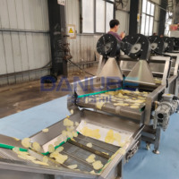 Geavanceerde snij- en frituurlijn voor aardappelchips, cassave en taro, inclusief continue friteuse voor cassave en taro chips.